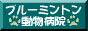 ブルーミントン動物病院