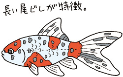 シュブンキンイラスト