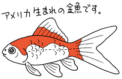 コメットイラスト