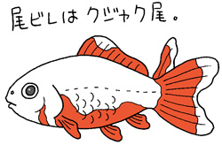 ジキンイラスト
