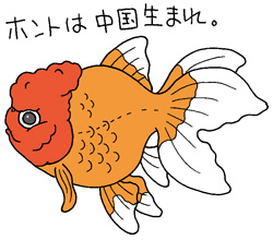 オランダシシガシライラスト