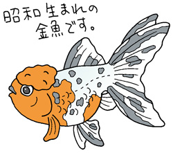 アズマニシキイラスト
