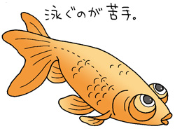 チョウテンガンイラスト