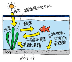イラスト