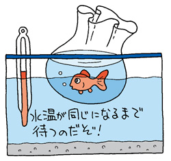 イラスト
