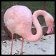 ARTIS ZOO Amsterdam